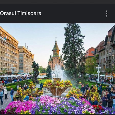 Apartament Lux Crialy - 75 M2 - Free Parking Тімішоара Екстер'єр фото