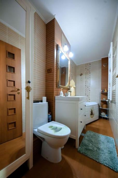 Apartament Lux Crialy - 75 M2 - Free Parking Тімішоара Екстер'єр фото