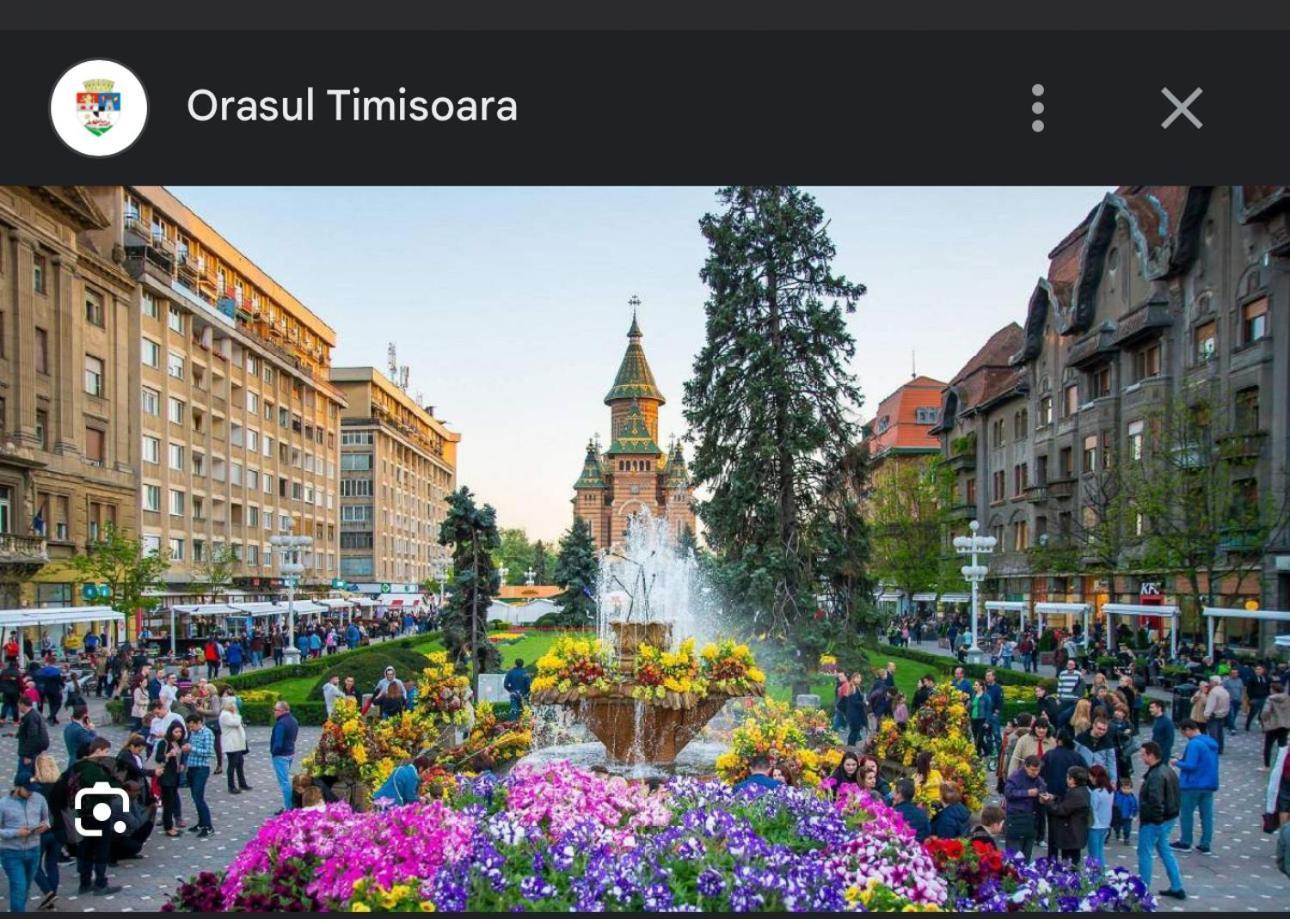 Apartament Lux Crialy - 75 M2 - Free Parking Тімішоара Екстер'єр фото