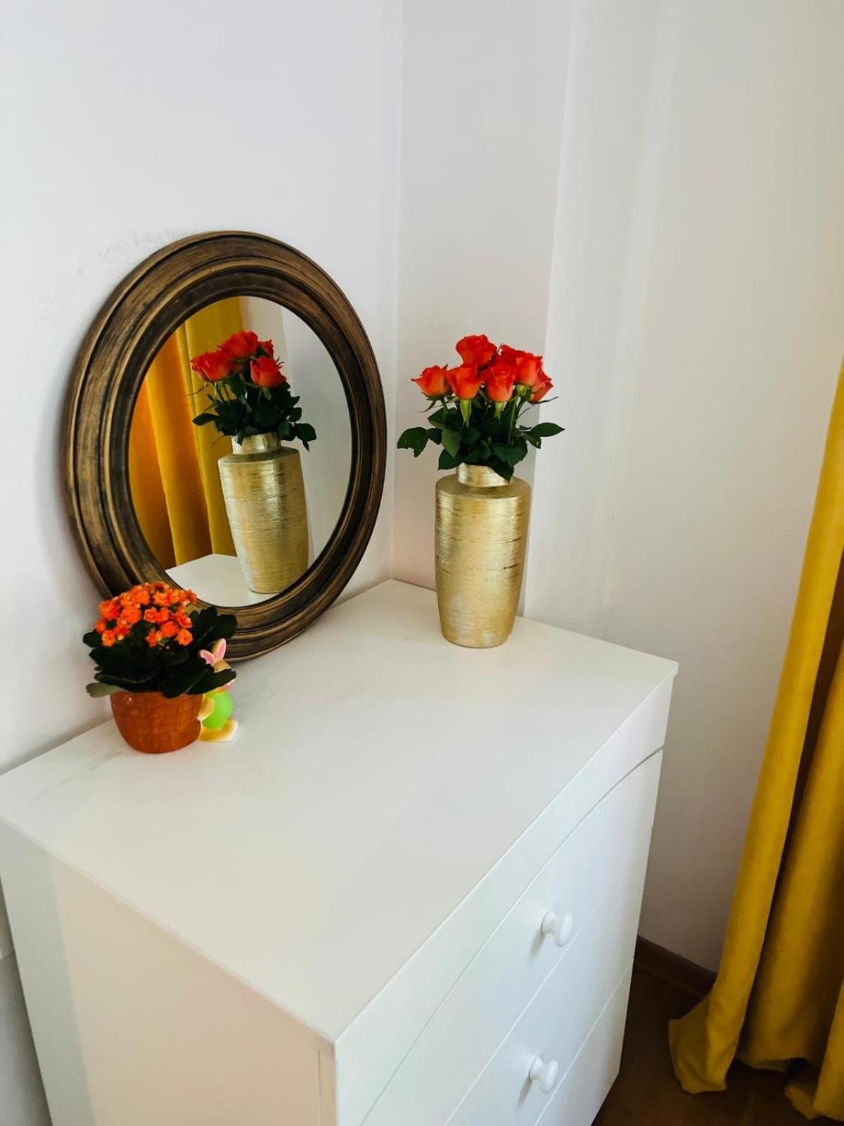 Apartament Lux Crialy - 75 M2 - Free Parking Тімішоара Екстер'єр фото